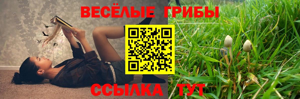 Псилоцибиновые грибы Cubensis  Вход с VPN  магазин продажи   Псилоцибиновые грибы Psilocybe  Лиски 